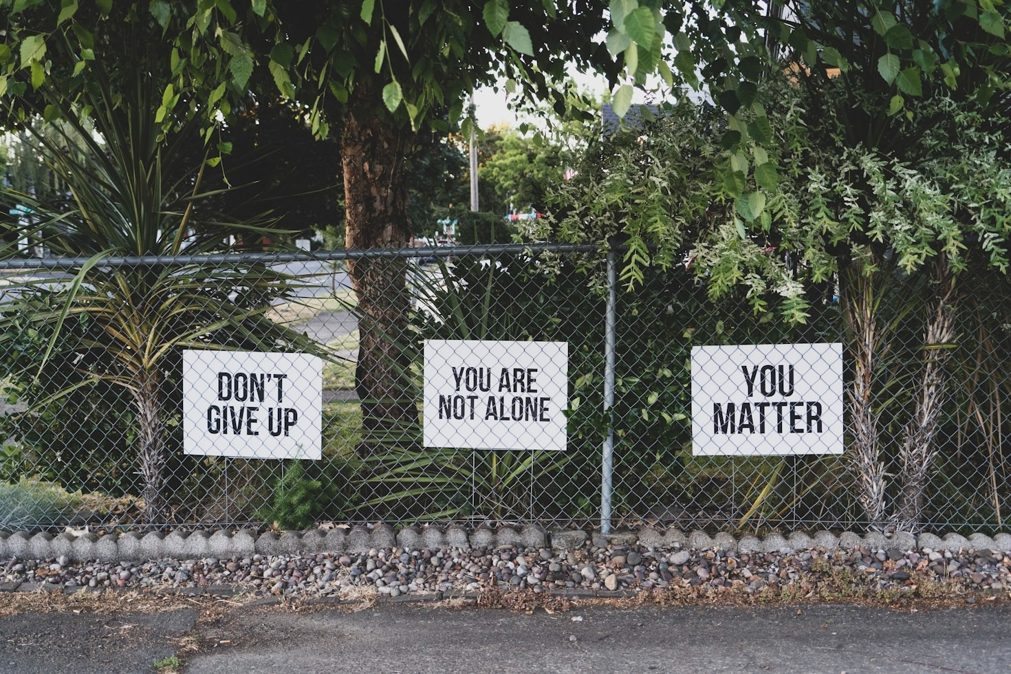 The Importance of Self-Acceptance in Transition